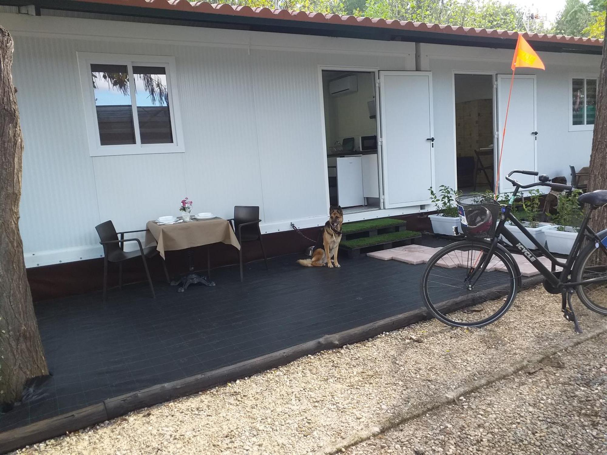 Catalinas Camping Ríolobos
